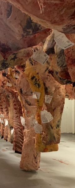 Carnes   - Distribuciones Elcano Lecea